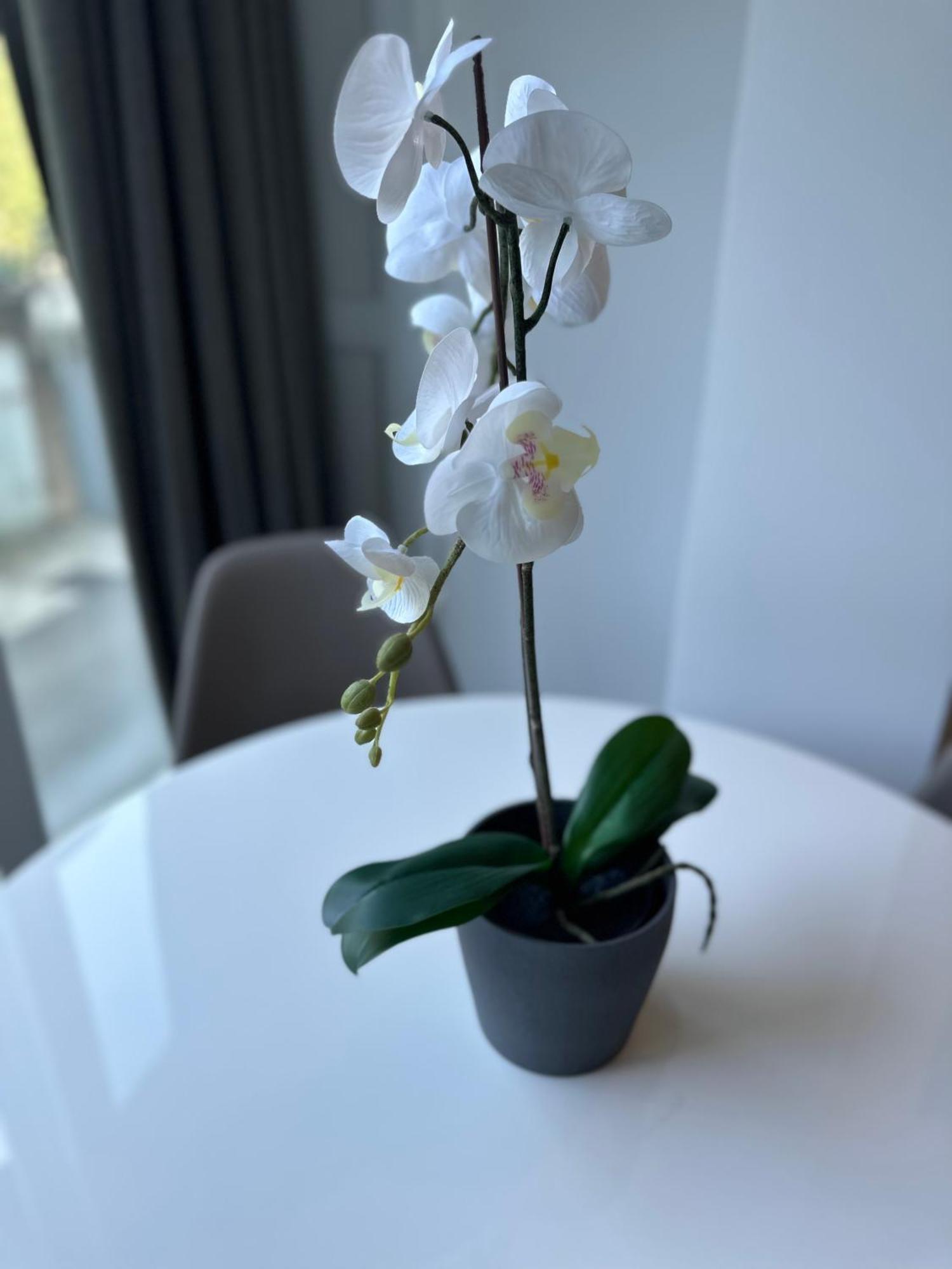 N&G New Apartment Stoja Beach プーラ エクステリア 写真
